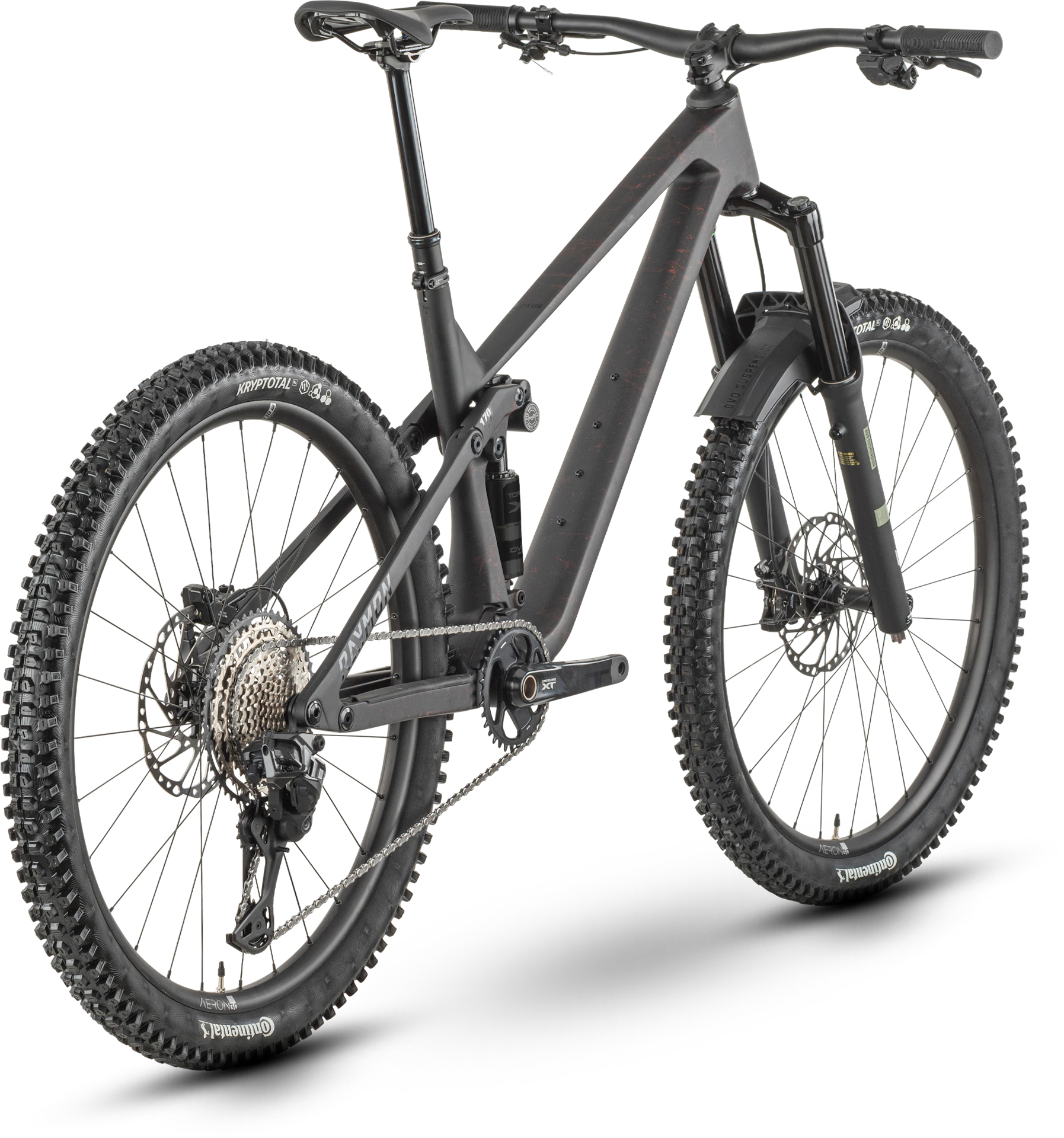 Rokua LT Pro – Black – Rear view