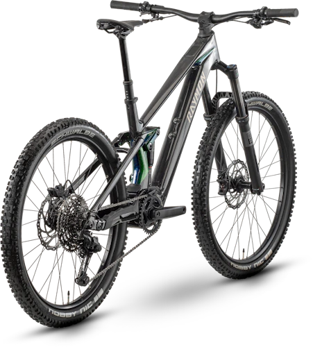 www.raymon-bicycles.com