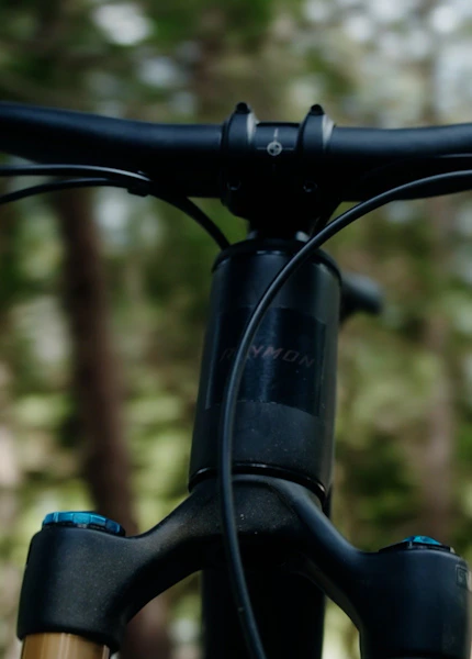 Nahaufnahme vom Cockpit und Steuerrohr eines schwarzen Raymon Rokua im Wald.