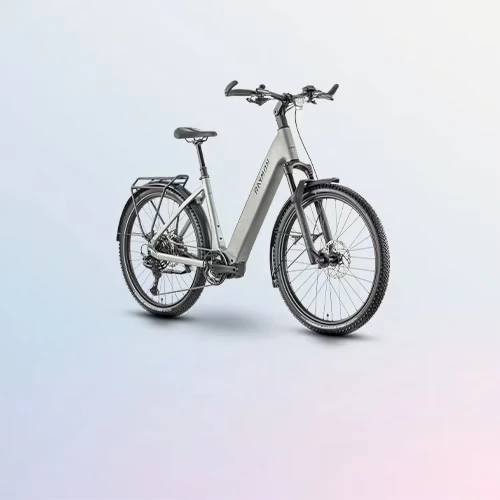 Side view of the RAYMON Varno bike