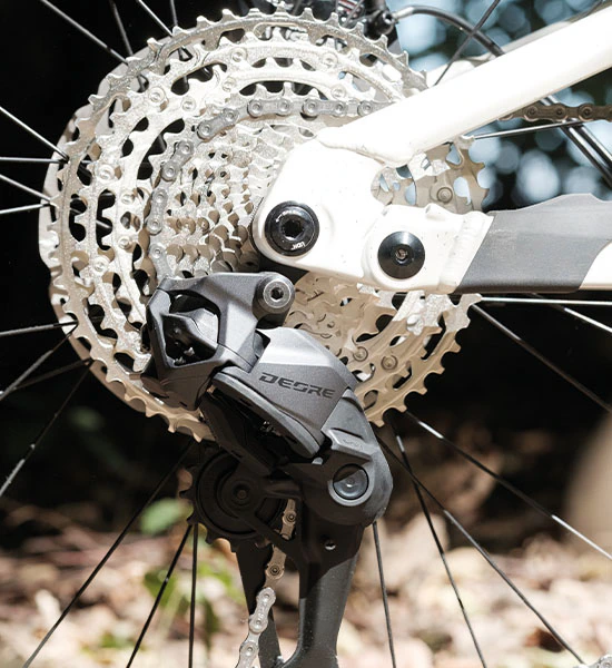 Detailaufnahme der hinteren Steckachse eines Raymon MTB mit Schaltwerk und Kassette