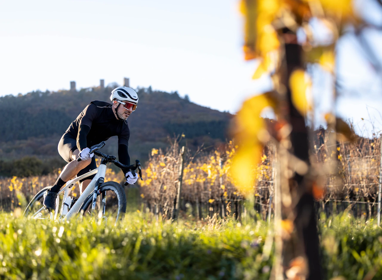 Ein Mann fährt auf einem weißen Raymon Rennrad durch herbstliche Weinberge.